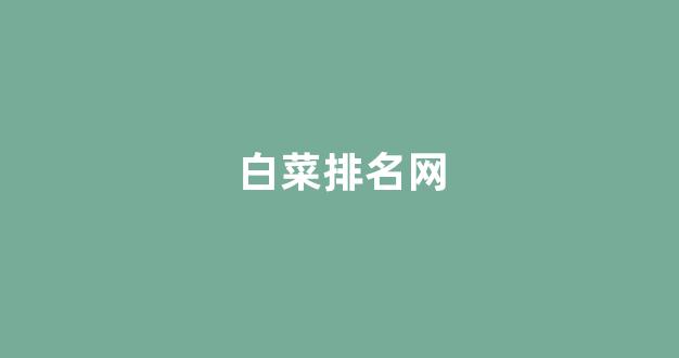 华人策略网站
